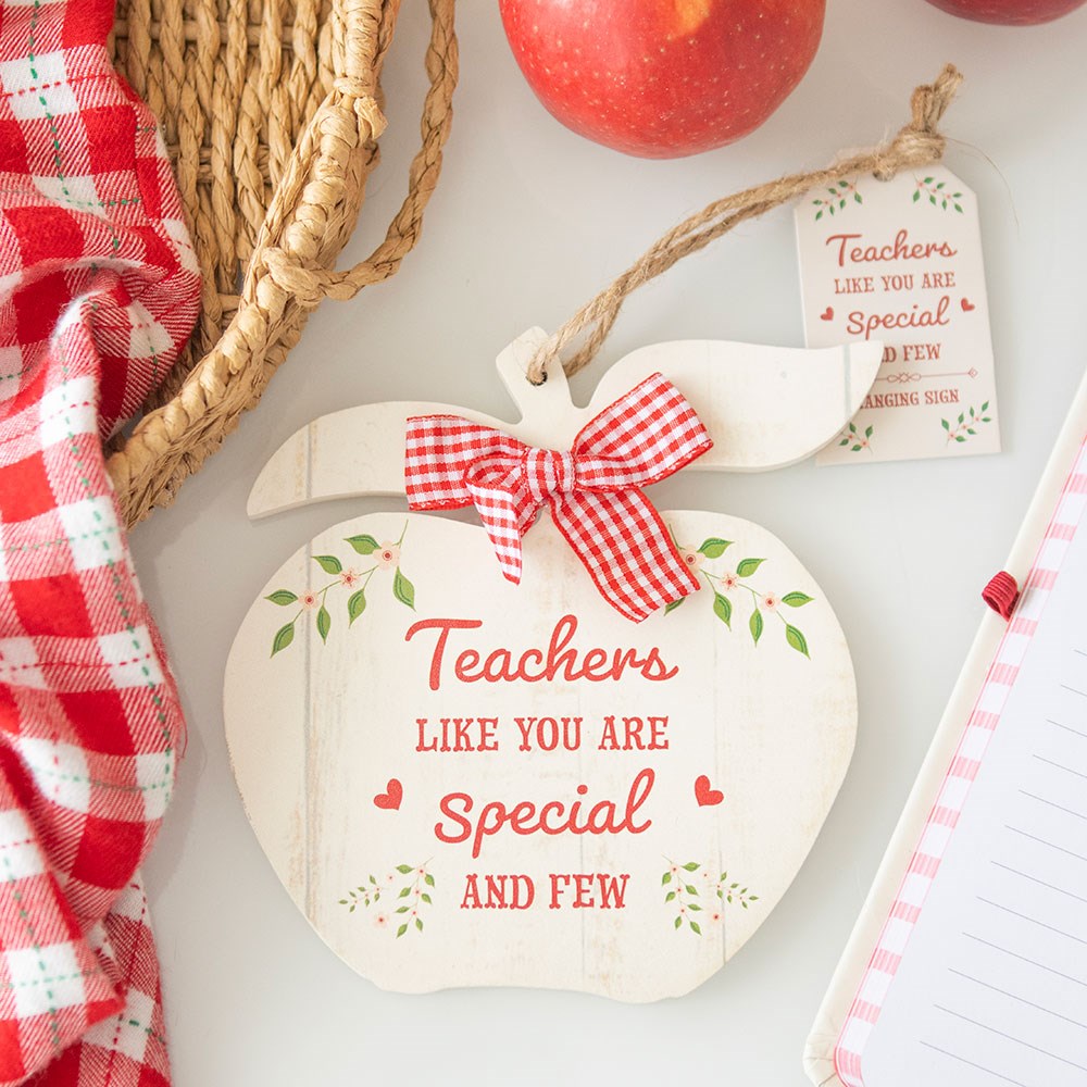 TEACHERS LIKE YOU APPLE HANGING DECORATION