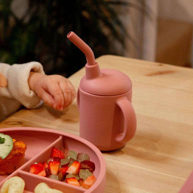 Weaning & Feeding