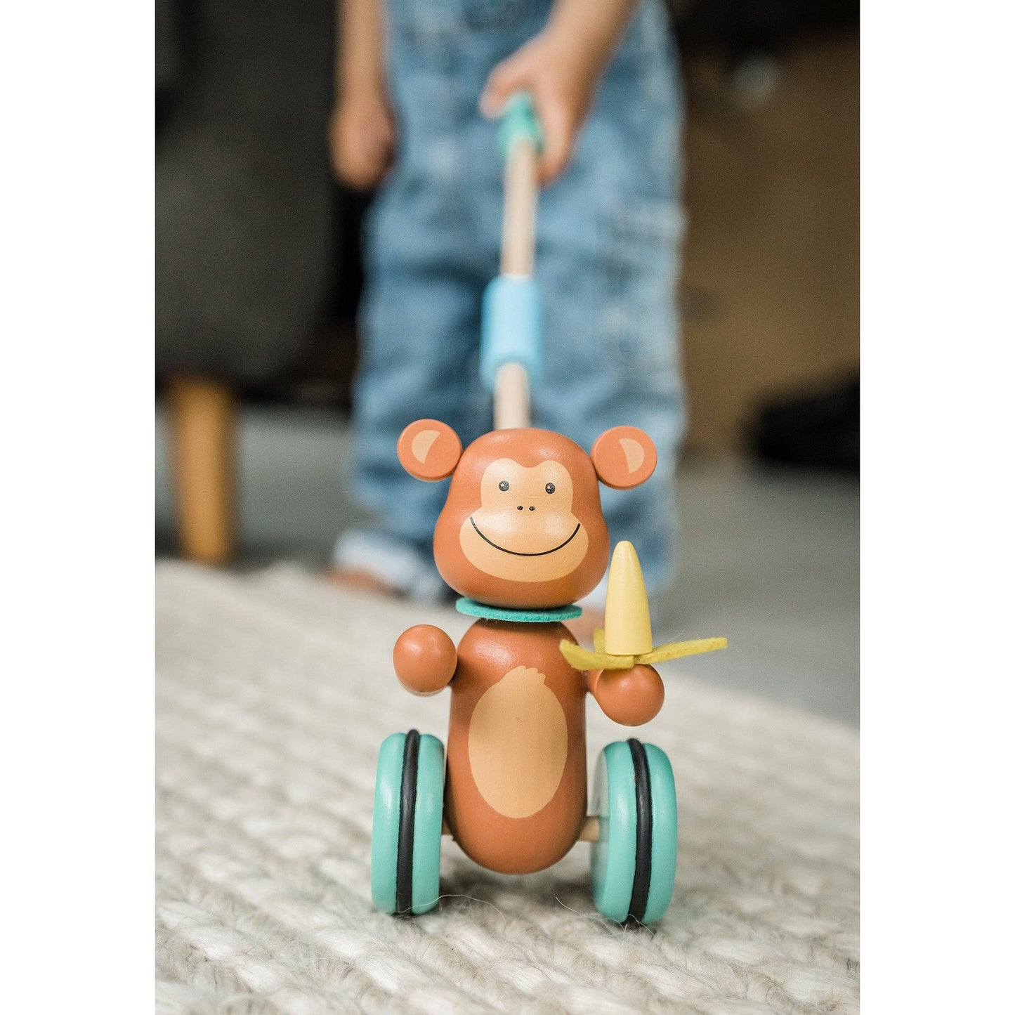 NEW Monkey Push Along