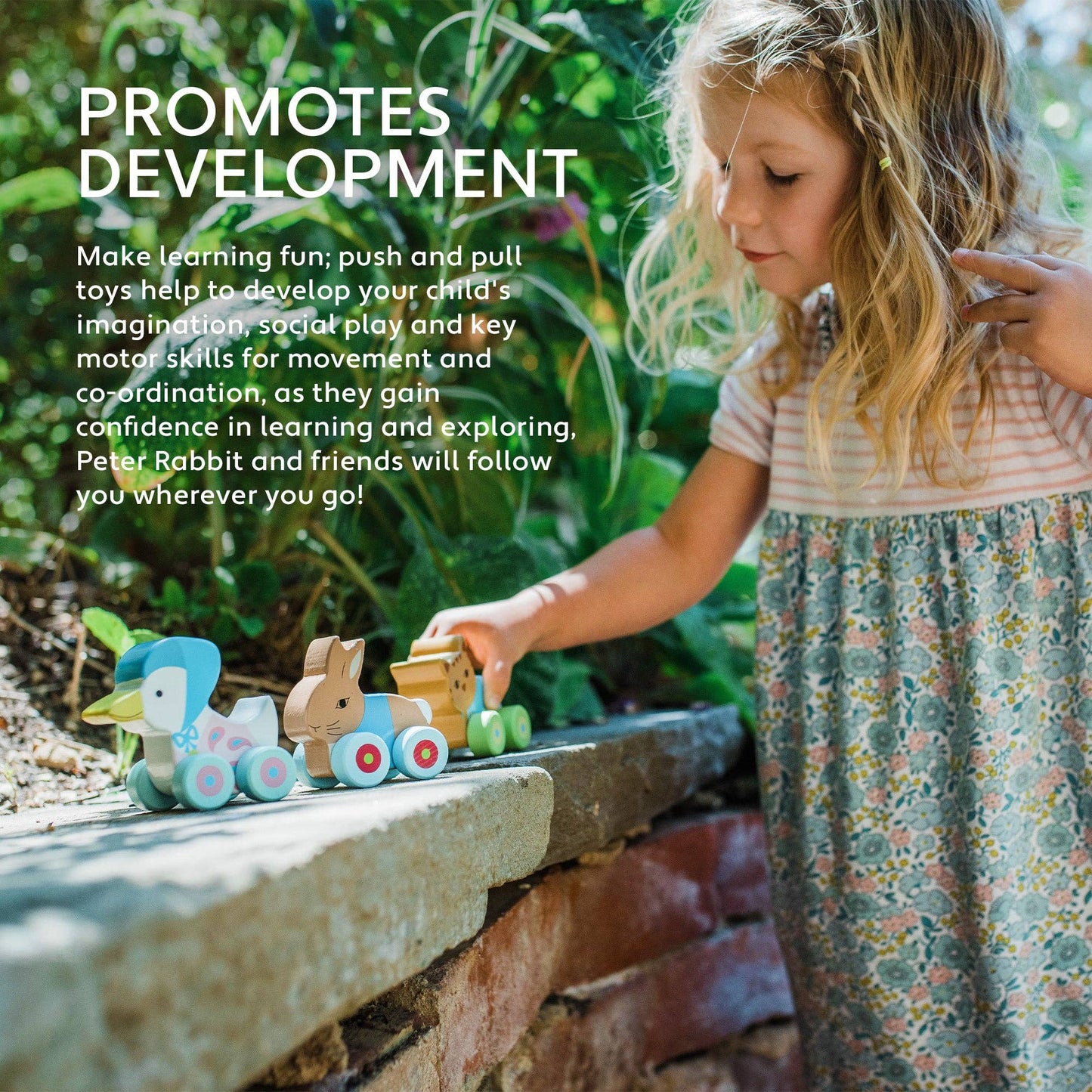 Peter Rabbit™ First push Wooden toys