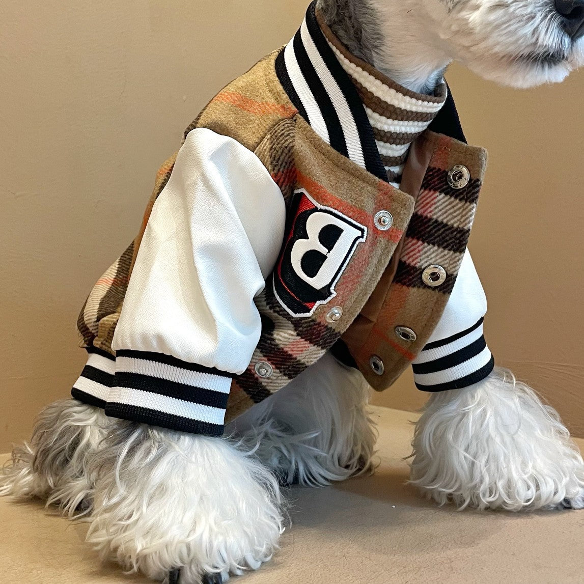 Varsity Jacket - Padded Wool