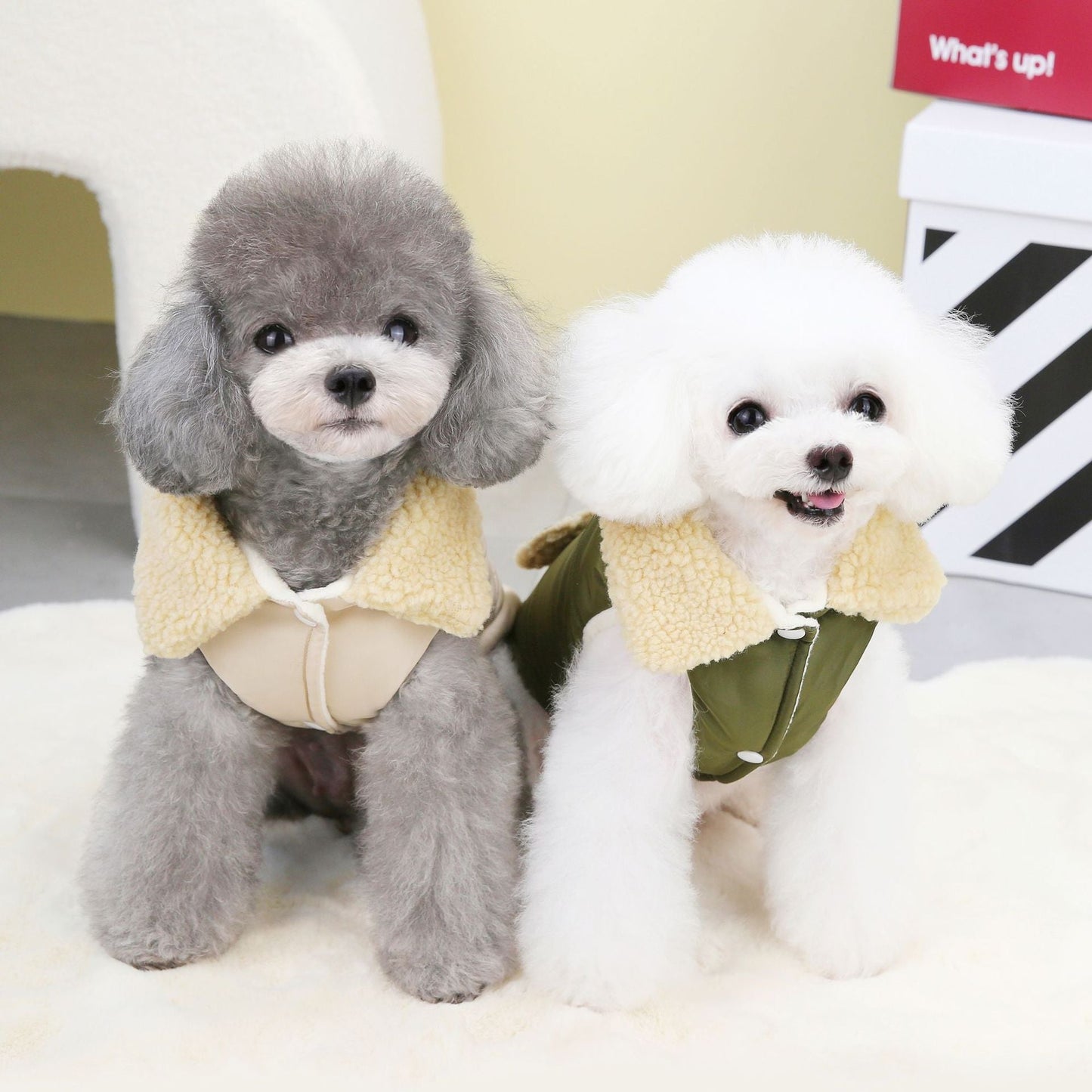 Teddy Coat - Nordic Fur Collar