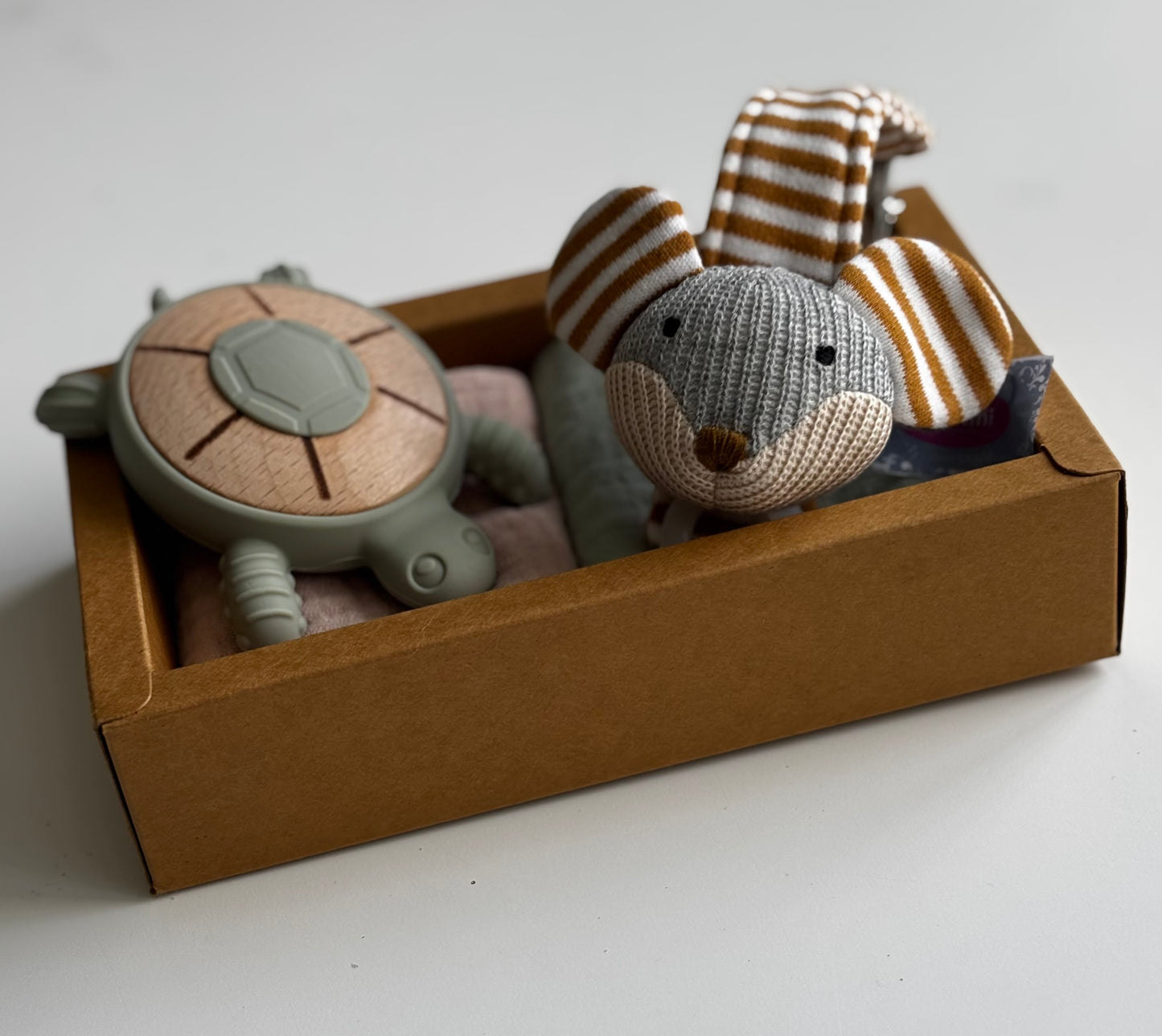 Turtle Teether & Mouse Dummy Clip Gift Box