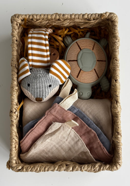 Turtle Teether & Mouse Dummy Clip Gift Basket