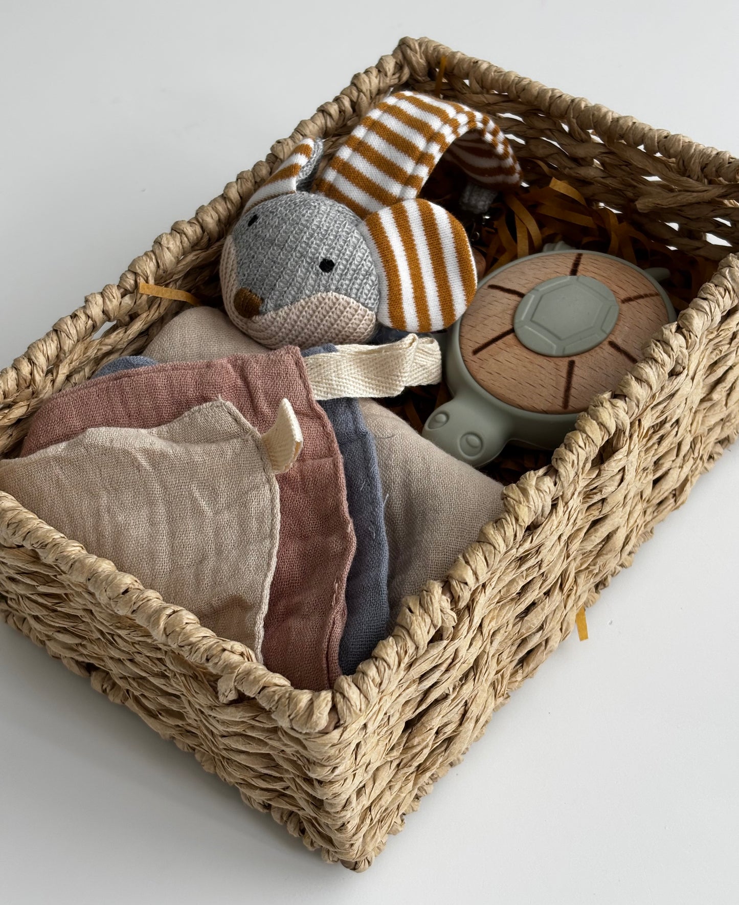 Turtle Teether & Mouse Dummy Clip Gift Basket