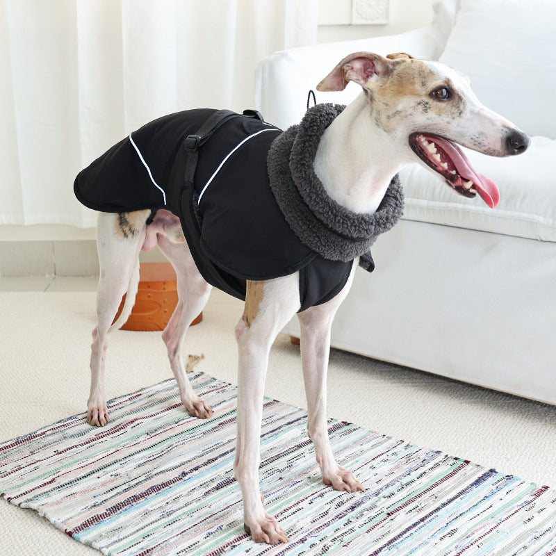 Padded Coat - Autumn And Winter