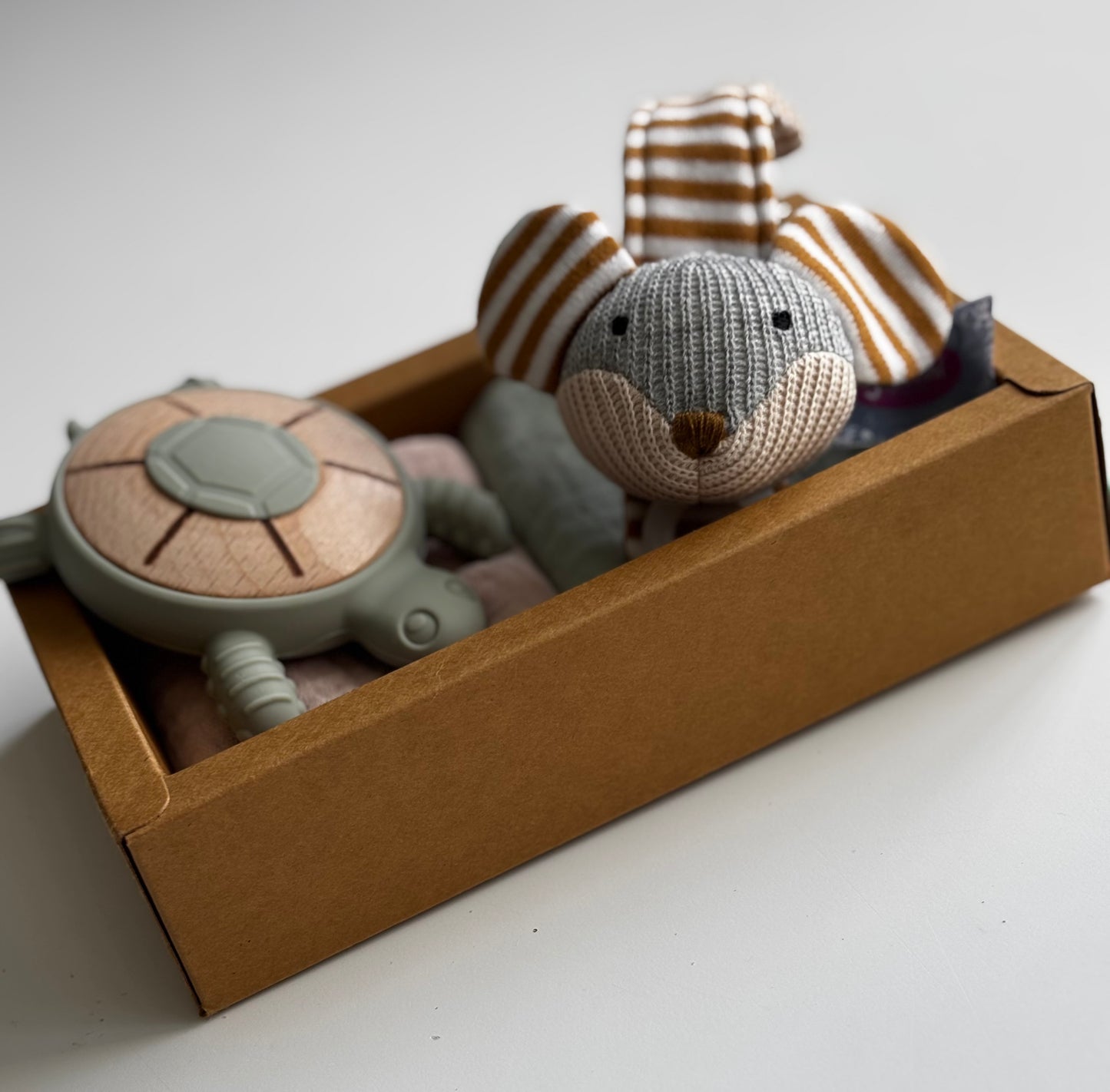 Turtle Teether & Mouse Dummy Clip Gift Box