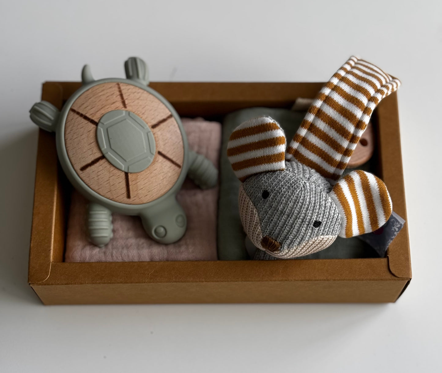 Turtle Teether & Mouse Dummy Clip Gift Box