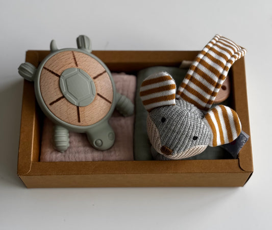 Turtle Teether & Mouse Dummy Clip Gift Box