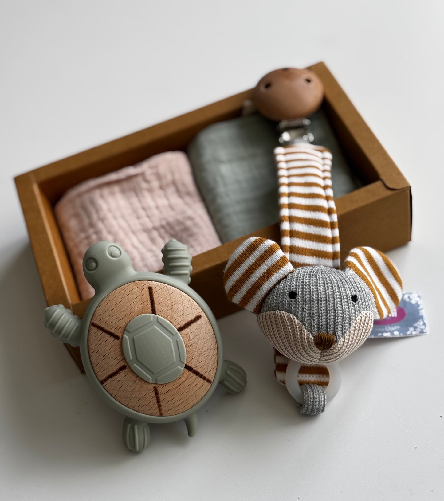 Turtle Teether & Mouse Dummy Clip Gift Box