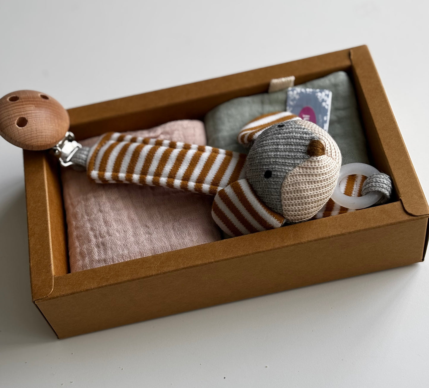 Turtle Teether & Mouse Dummy Clip Gift Box